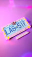 Gamer Girl x PopPlates — 3D printed pixel-style gaming license plate frame with customizable text option, made in Vancouver BC