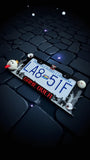 3D Printed King Boo License Plate Frame: Glow in the Dark Car Accessory