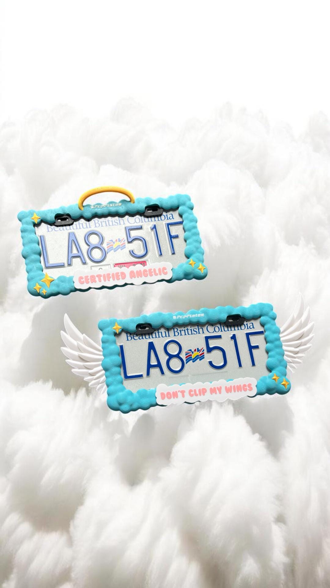 Angel Wing License Plate Frame Set – 3D Halo & Winged Design