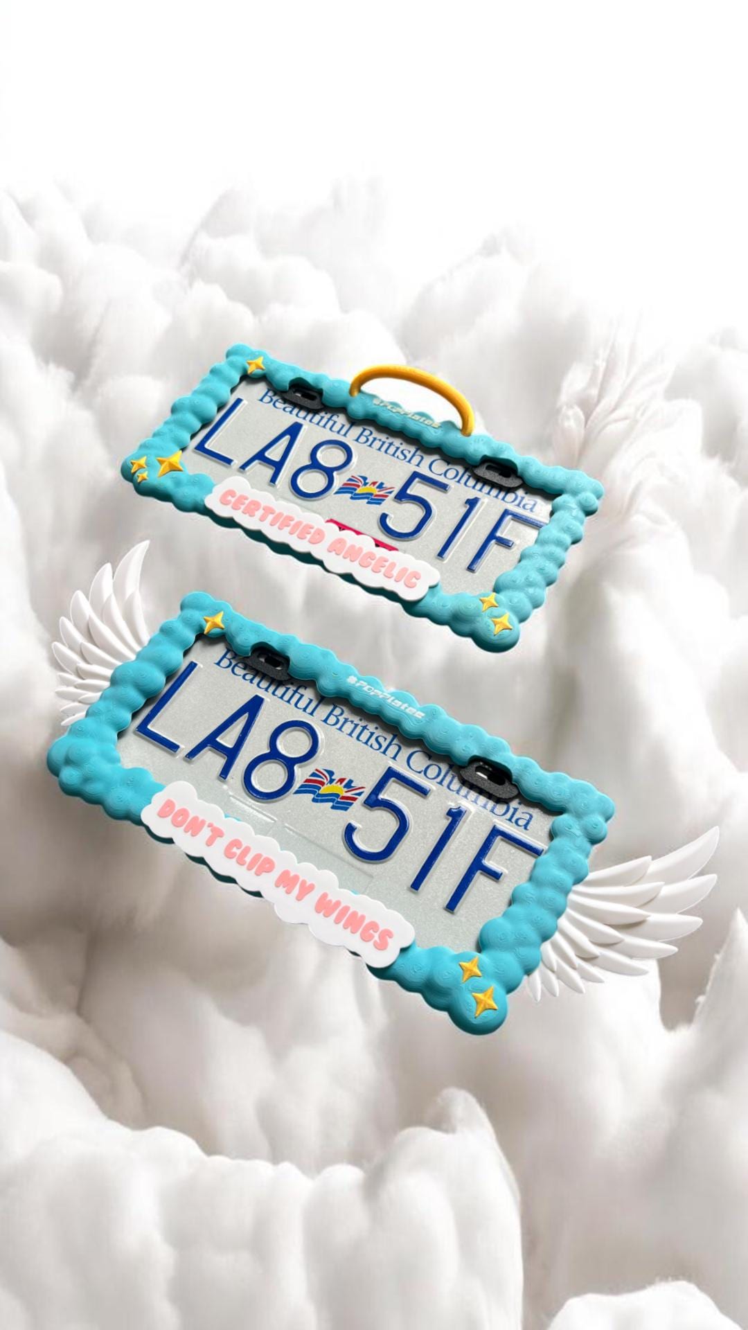 Angel Wing License Plate Frame Set – 3D Halo & Winged Design