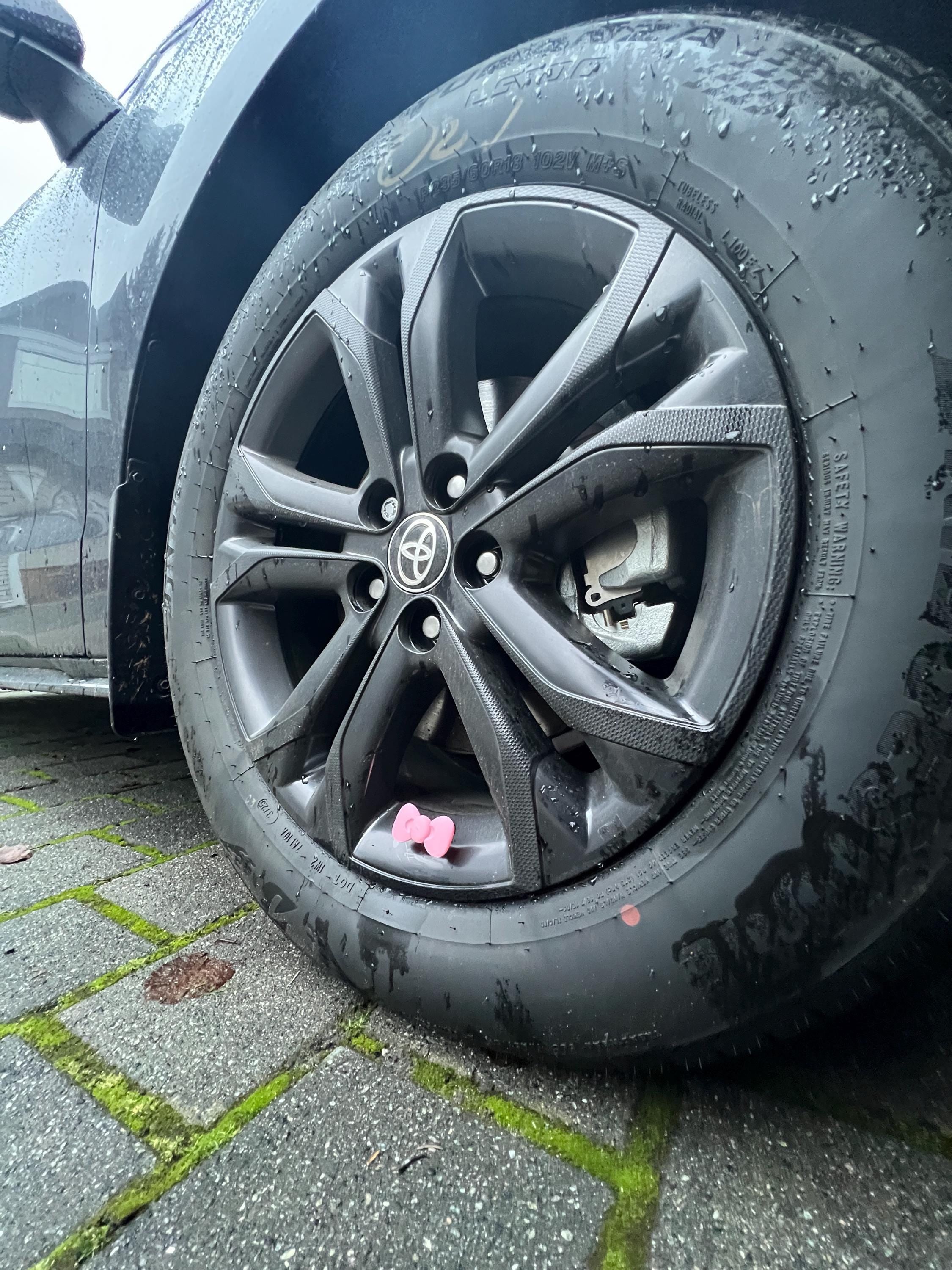 Kawaii Pink Bow PopCaps – 3D Printed Tire Valve Caps