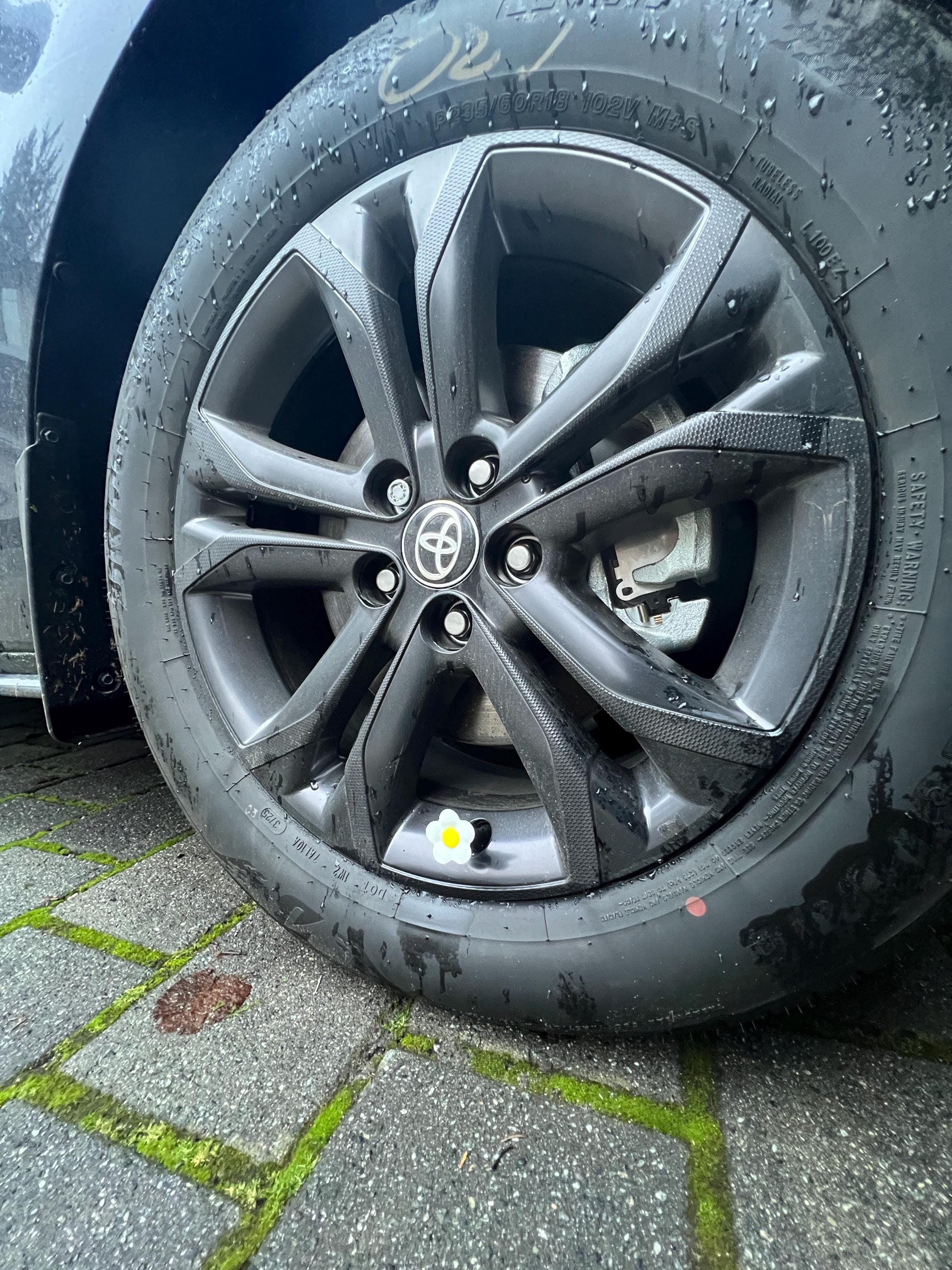 Cute Melody Flower PopCaps – 3D Printed Tire Valve Caps