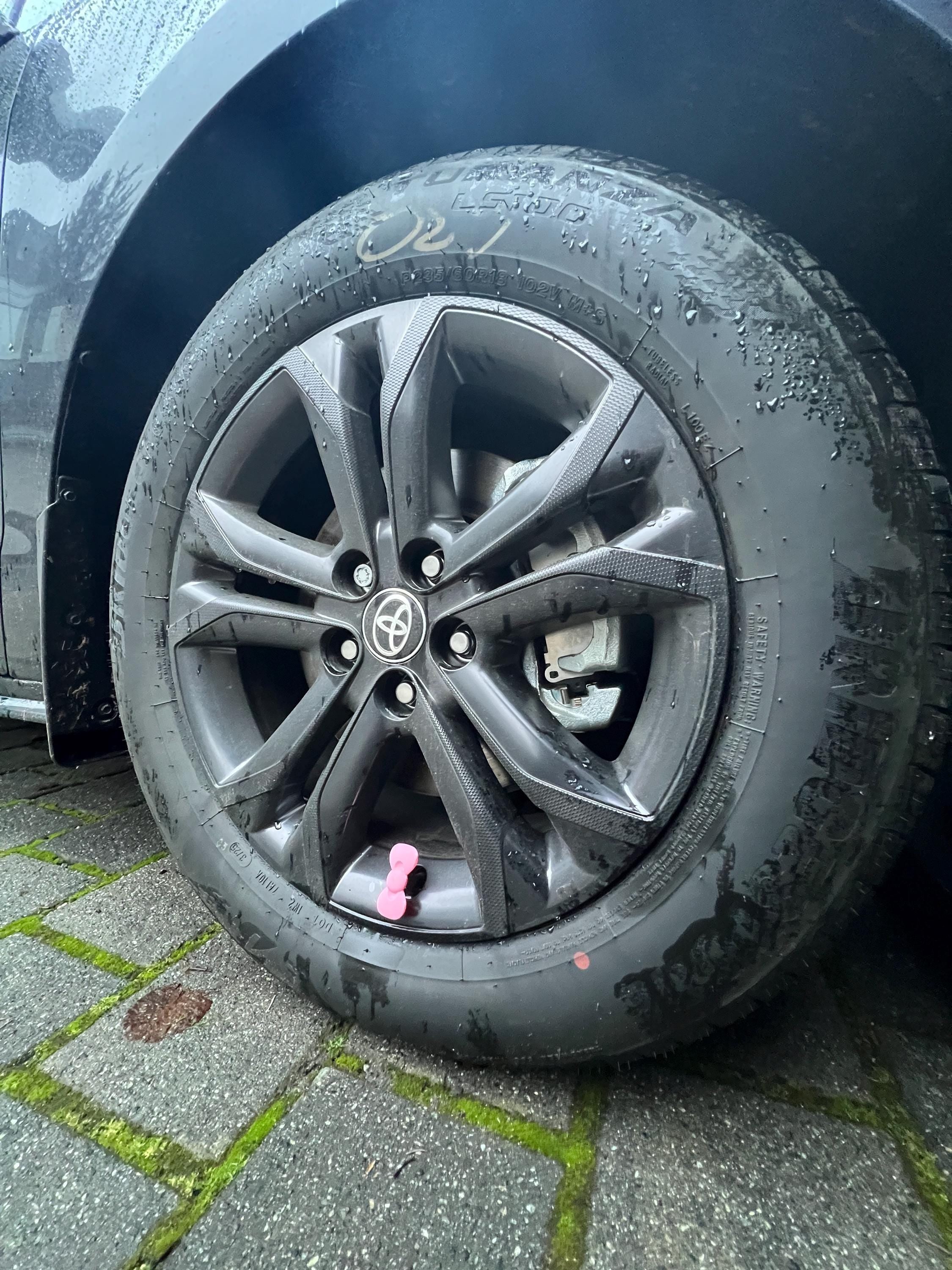 Kawaii Pink Bow PopCaps – 3D Printed Tire Valve Caps